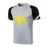 KIT MAGLIA GRIGIA + TUTA LIVERPOOL 2021/22